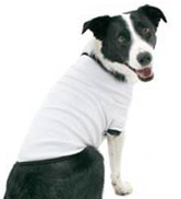 dog t-shirts for dogs to wear