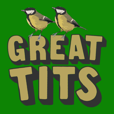 Great Tits Birds